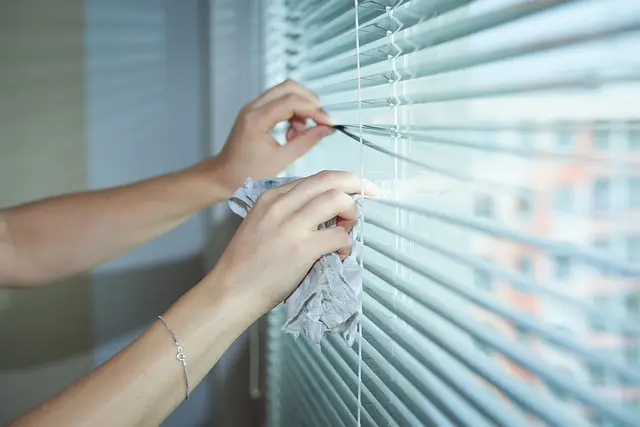 10 Pros and Cons of Hiring a Professional Cleaning Service for Your Home 1 10 Pros and Cons of Hiring a Professional Cleaning Service for Your Home professional home cleaning service