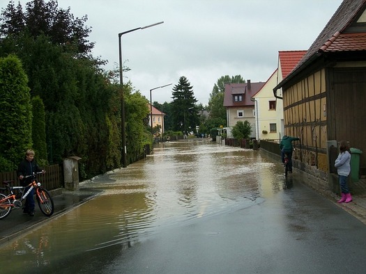 Water Damage in Historic Buildings