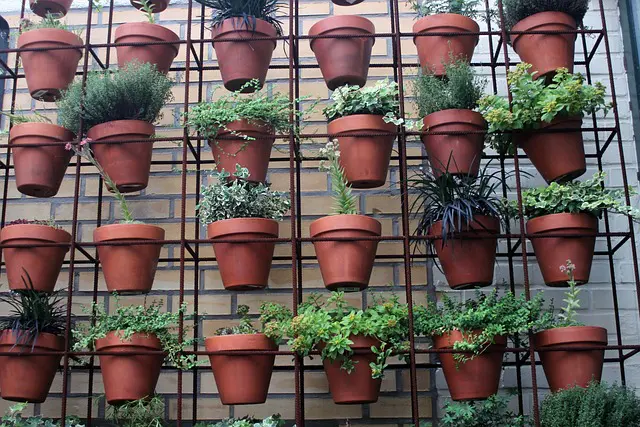How to Clean and Care for Your Houseplants 1 How to Clean and Care for Your Houseplants Clean and Care for Your Houseplants