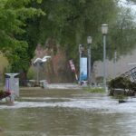 How to Assess Water Damage